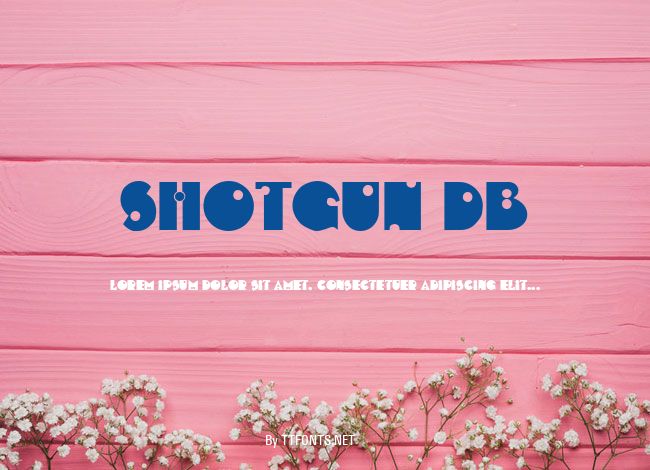 Shotgun DB example